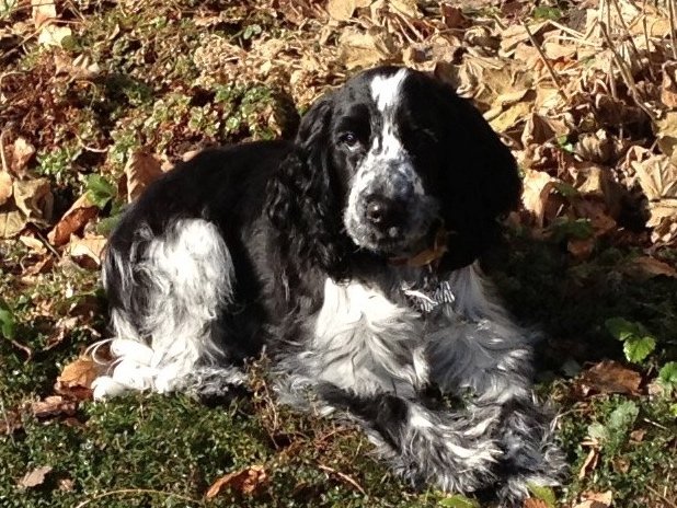 Mira på Ngong Hill, Regitze Schmidt