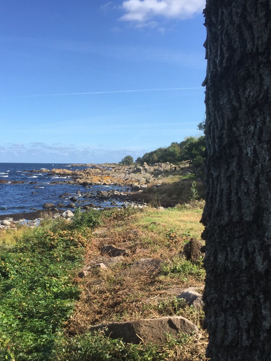 kvababbelse, Regitze Schmidt