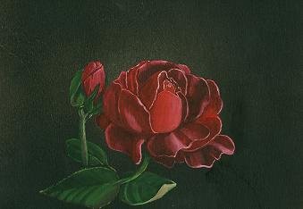 Rose i Mørket, Regitze Schmidt