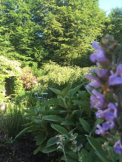 Regitze Schmidt, tyveri