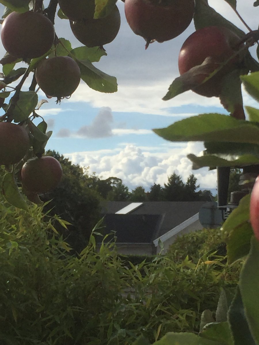 Regitze Schmidt, Ålsgårde