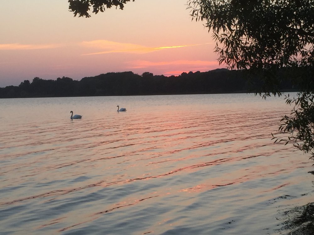 Kongernes Nordsjælland, Regitze Schmidt