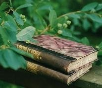 Litteratur, Bøger, Regitze Schmidt