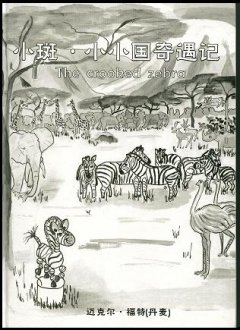 Regitze Schmidt, Den skæve Zebra - kinesisk udg.